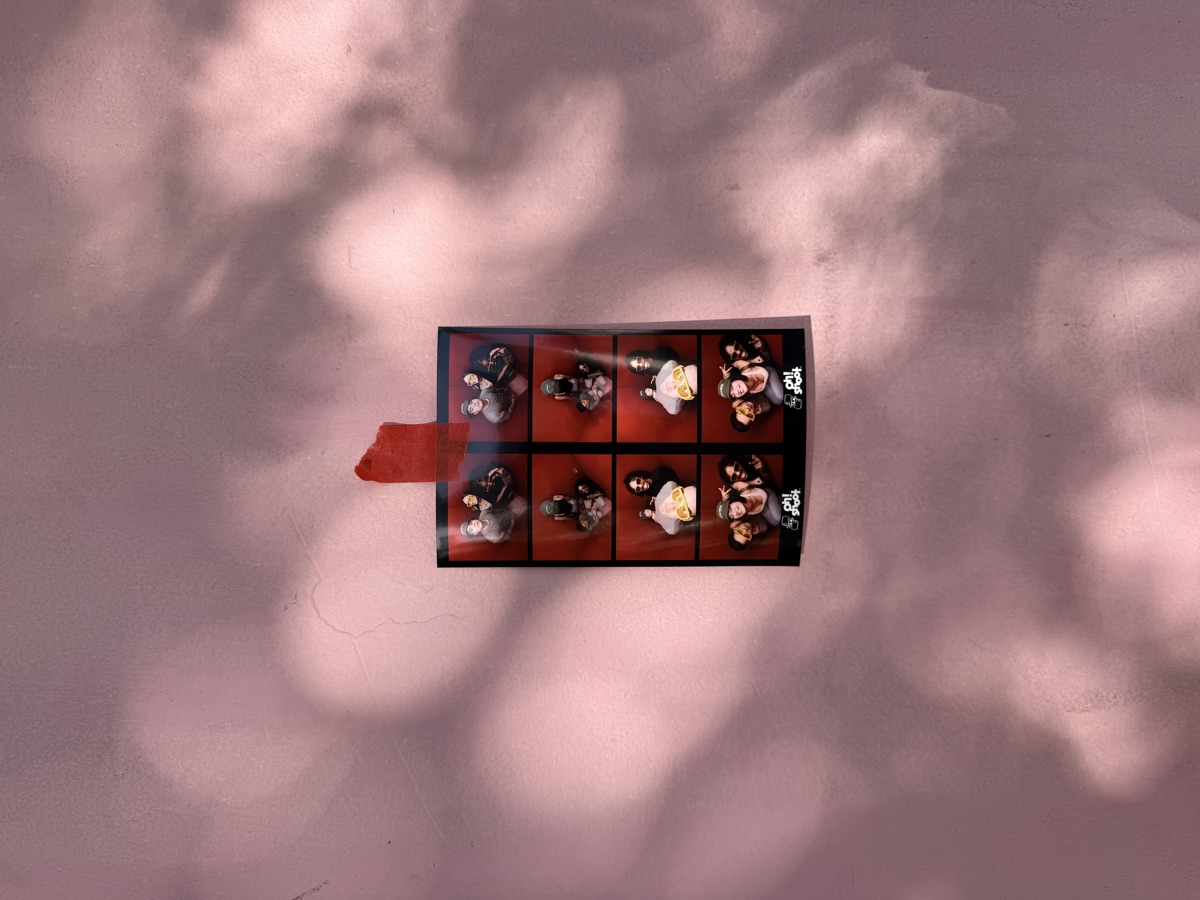 Strip taped to a pink wall in dappled light